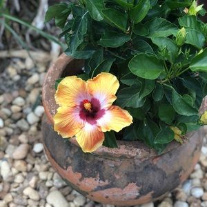 Meet your Posher, Becky